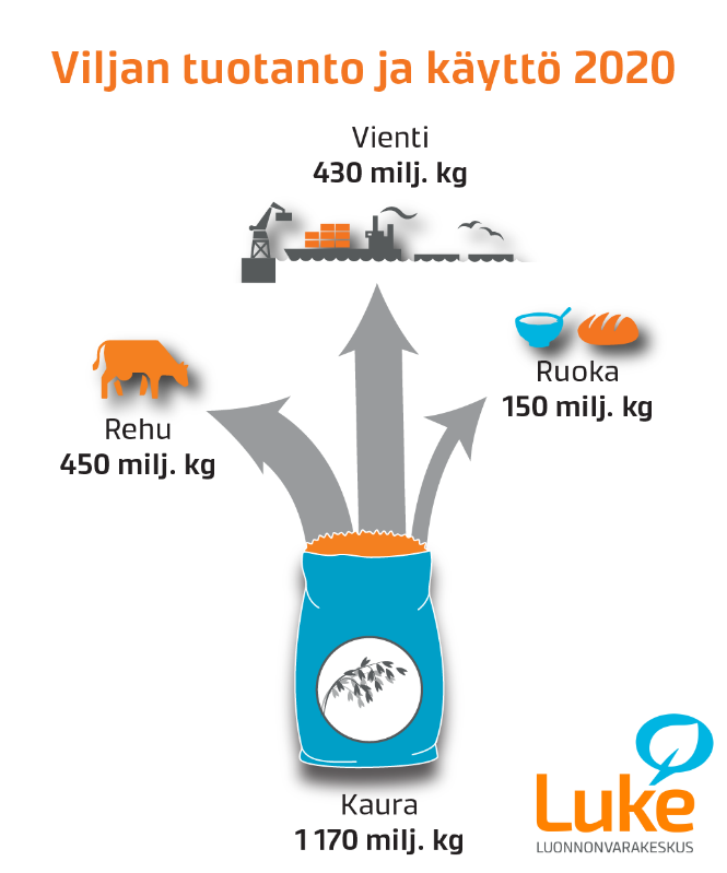 Kaavio syksyn 2020 kaurasadon jakautumisesta rehuksi (450 milj. kg), vientiin (430 milj. kg) ja ruoaksi (150 milj. kg).