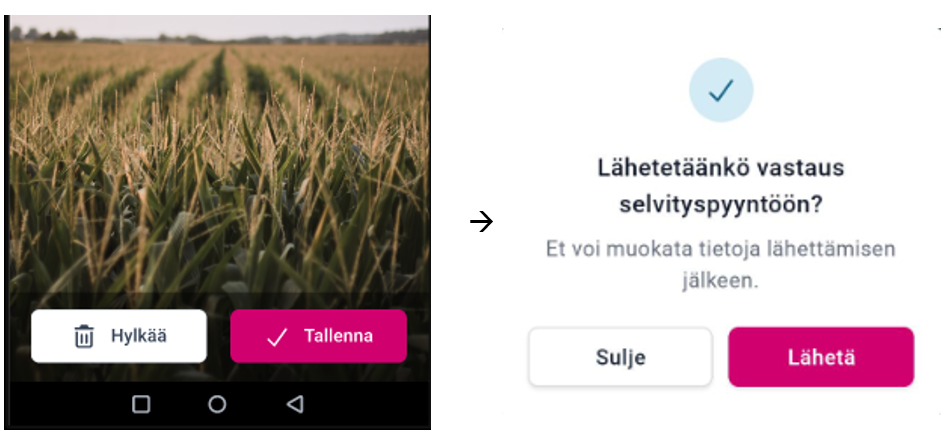 Kuvankaappaus Vipu-mobiilista