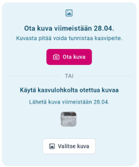 Kuvankaappaus Vipumobiilista
