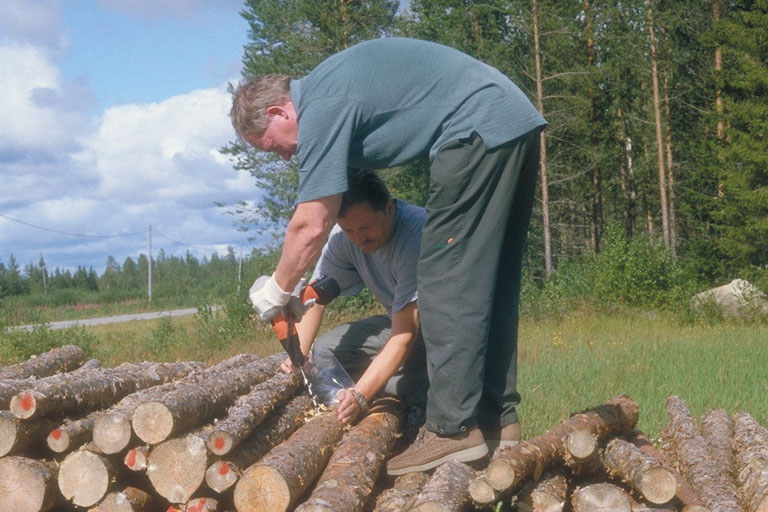 Kotimaan kartoituksiin liittyvät mäntyankeroisnäytteet otetaan akkuporakoneella, ja poralastut analysoidaan Ruokaviraston Lappeenrannan puulaboratoriossa.