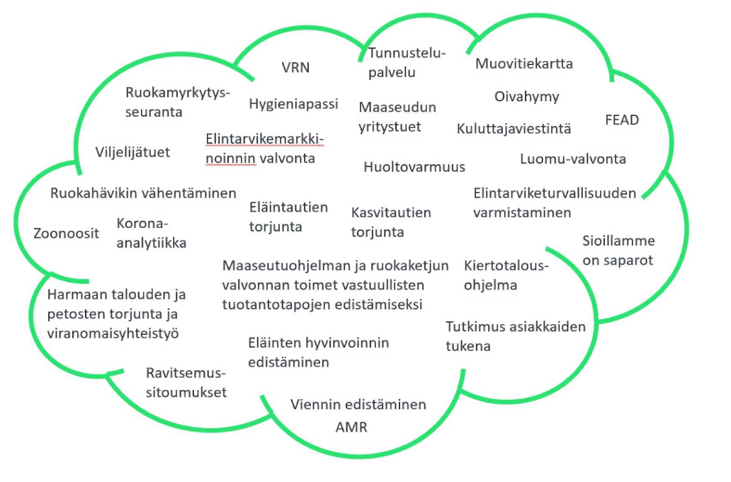 Pilvikuvioon on koottu asioita, joilla Ruokaviraston toiminnassa vaikutetaan YK:n kestävän kehityksen tavoitteisiin. Näitä ovat: VRN eli Valtion ravitsemusneuvottelukunta, tunnustelupalvelu, muovitiekartta, ruokamyrkytysseuranta, hygieniapassi, maaseudun yritystuet, Oivahymy, kuluttajaviestintä, FEAD, viljelijätuet, elintarvikemarkkinoinnin valvonta, huoltovarmuus, luomuvalvonta, ruokahävikin vähentäminen, eläintautien torjunta, elintarviketurvallisuuden varmistaminen, zoonoosit, korona-analytiikka, kasvitautien torjunta, harmaan talouden ja petosten torjunta ja viranomaisyhteistyö, eläinten hyvinvoinnin edistäminen, tutkimus asiakkaiden tukena, ravitsemussitoumukset, viennin edistäminen sekä AMR eli antibioottiresistenssi.