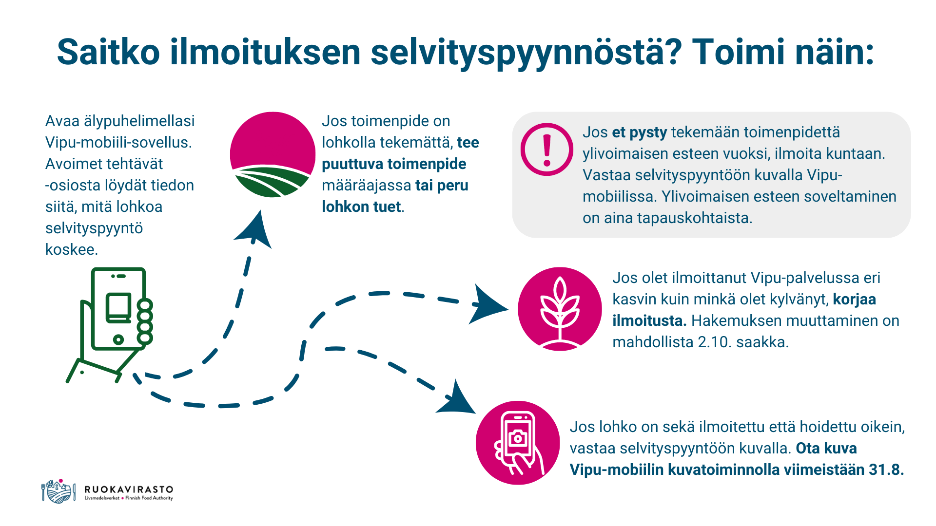 Ohjekuva selvityspyynnöstä, vastaavat tiedot tekstissä