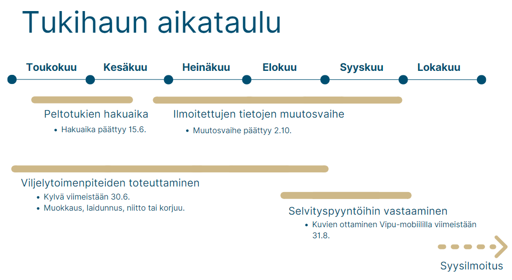 Tukihaun aikajana, vastaavat tiedot tekstissä