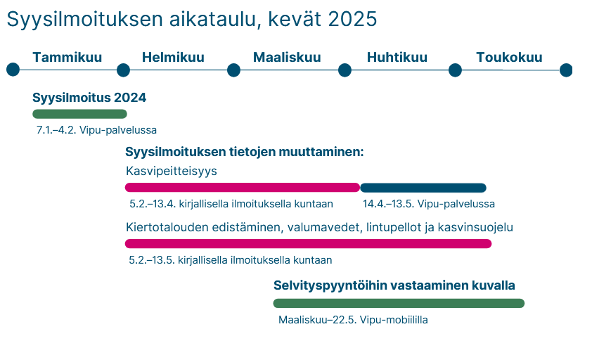 Syysilmoituksen aikataulukaavio, vastaavat tiedot ovat myös tekstissä.