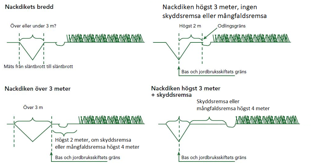 Bilderna om mätning av kantdikets bredd.