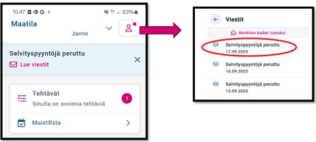 Kuvankaappaus Vipu-mobiilista