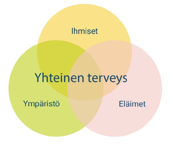 Venn-diagrammi, jonka keskellä teksti: "Yhteinen terveys". Toisensa läpileikkaavissa ympyröissä tekstit: "Ihmiset", "Ympäristö" ja "Eläimet".