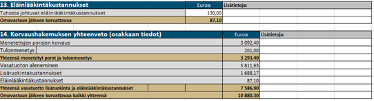 Vahinkolaskenta-liitteen Osakas-välilehden kohdat 13–14. 