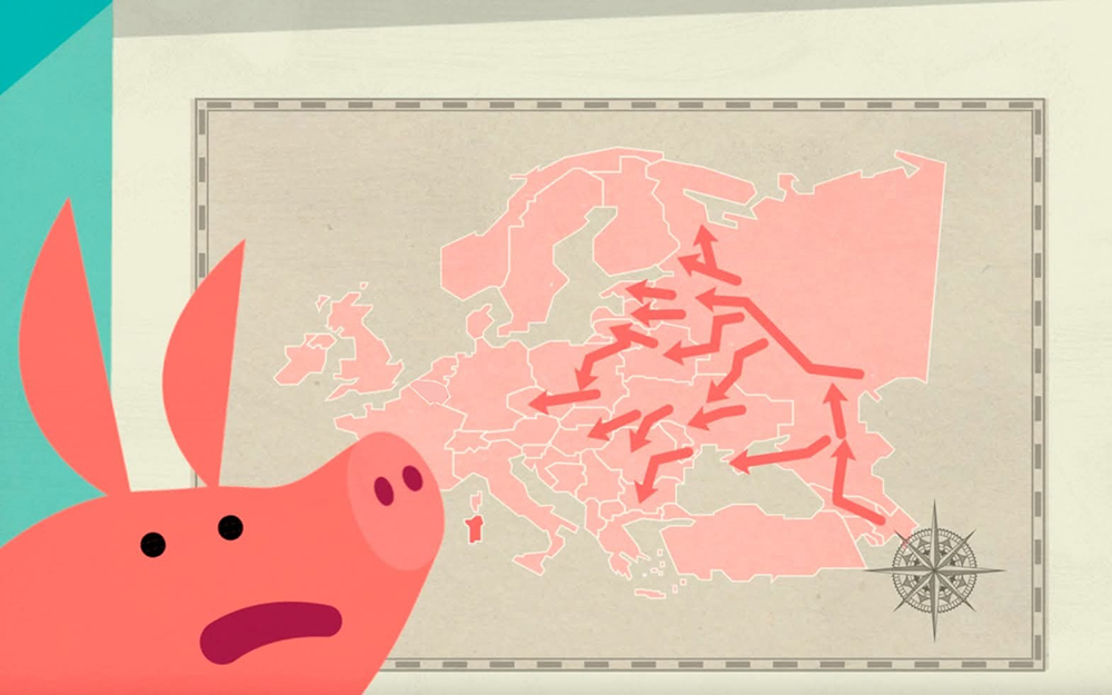 Photo: ruokavirasto.fi African Swine Fever Spreads West in Finland: Restricted Zone Expanded