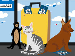 Reser du utomlands med sällskapsdjur? Lagstiftningen ändras i april