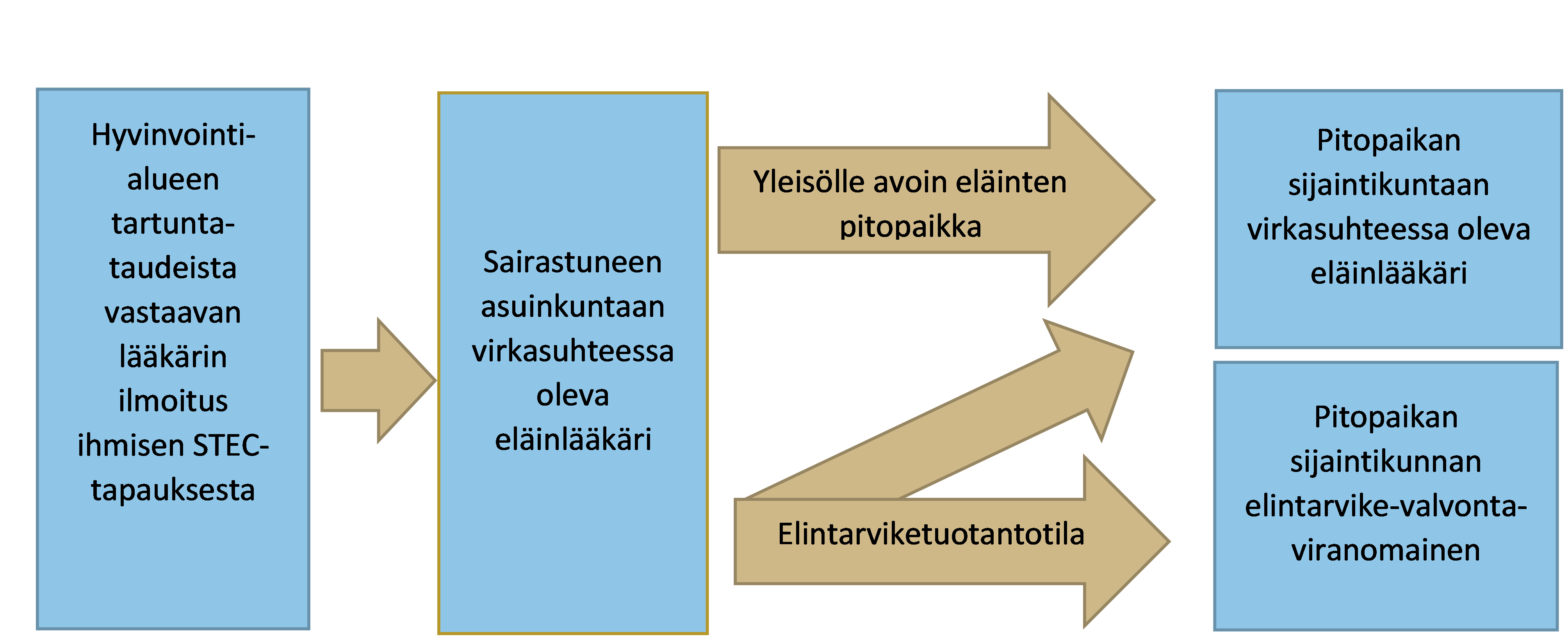 Kuvassa on nuolikaavion muodossa ohjeen teksti ilmoituksen kulkemisesta tartuntataudeista vastaavalta lääkäriltä eteenpäin.