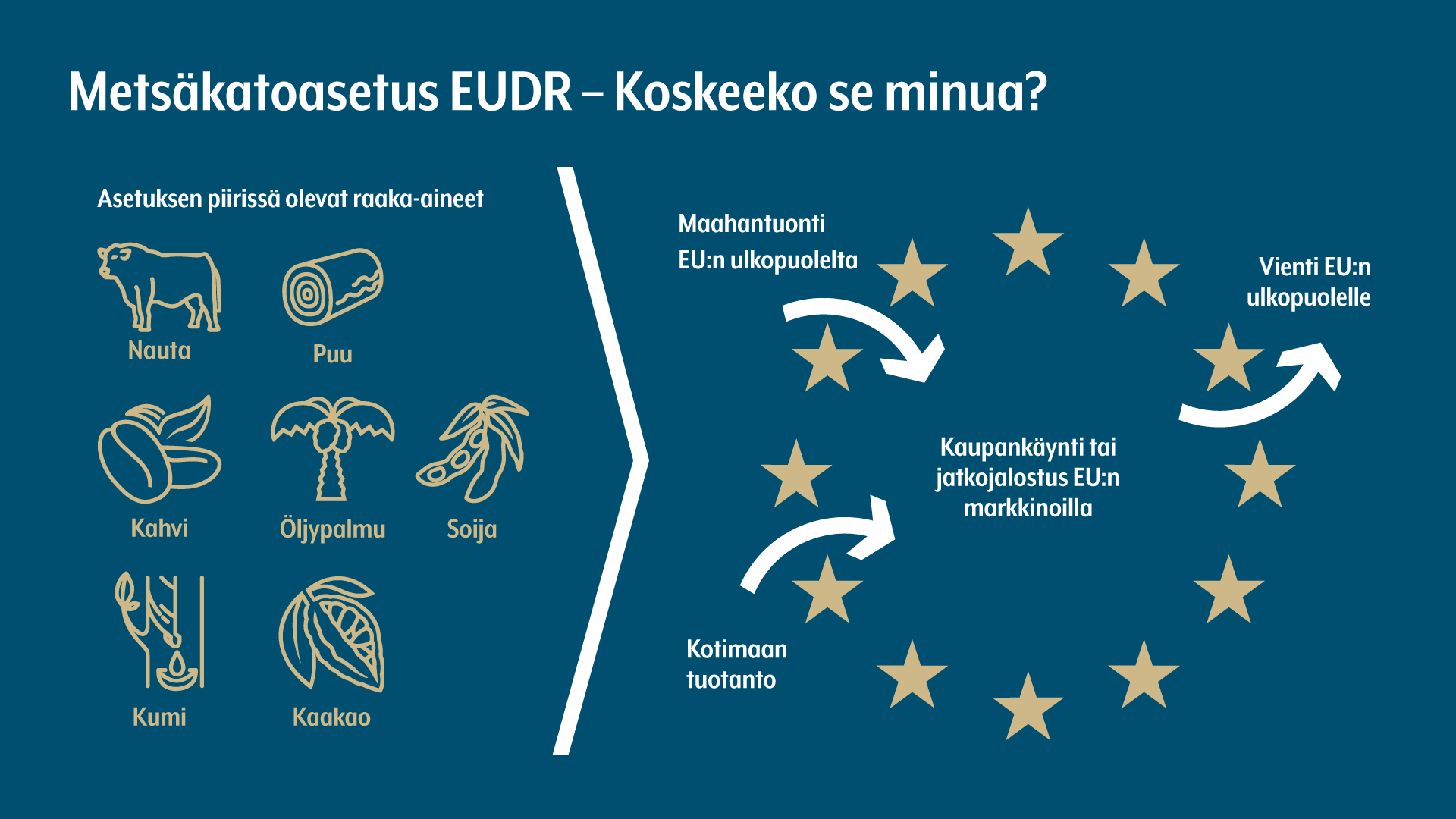 Metsäkatoasetus (EUDR)