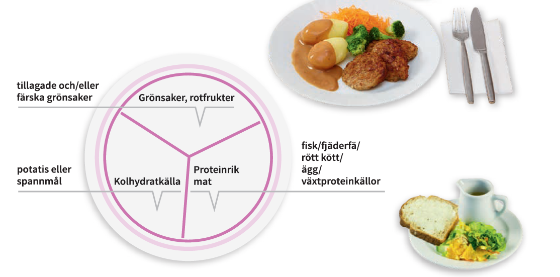 Tallriksmodellen för äldre består av en tallrik som är uppdelad i tre delar. 1/3 är proteinhaltig mat såsom kyckling, fisk, kött eller vegetabiliska proteinkällor, 1/3 grönsaker och 1/3 potatis eller spannmålstillbehör. Till tallriksmodellen hör dessutom måltidsdryck, bröd med bredbart vegetabiliskt fett, färska vegetabiliska tillbehör och en salladsdressing samt en efterrätt som innehåller frukt eller bär.