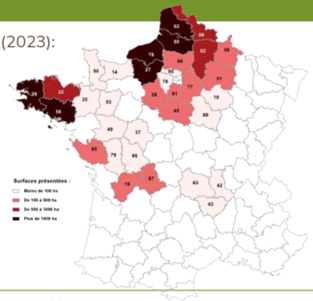  Kartalla Siemenperunan suurimmat tuotantoalueet Ranskassa.