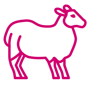 lammas.png