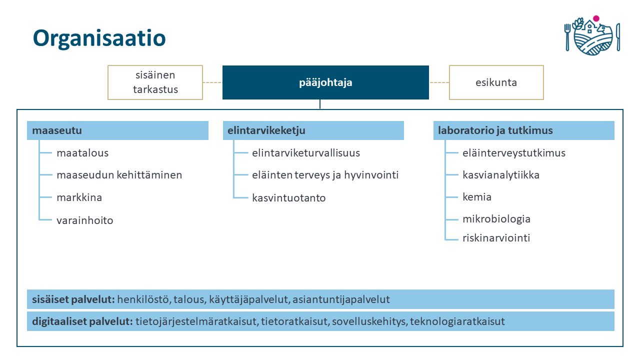 Ruokaviraston organisaatiokaavio.