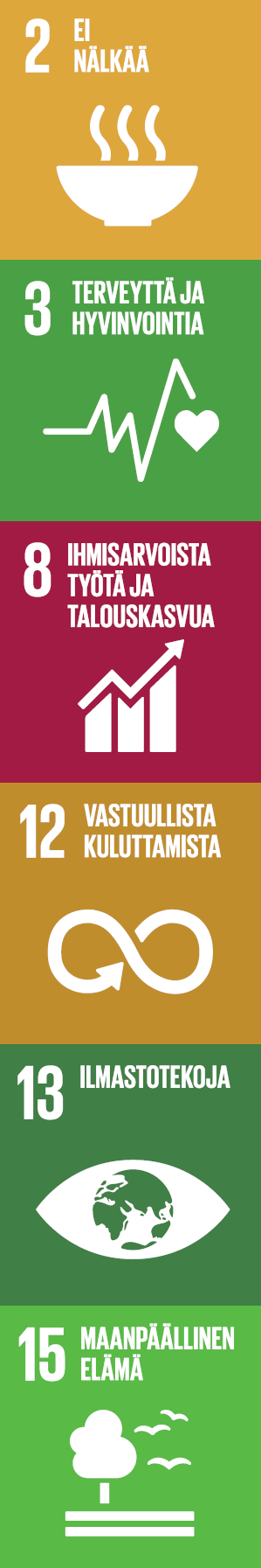 SDG-kuvakeikonit.