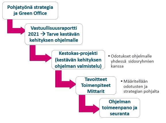 Kestävän kehityksen ohjelman valmisteluvaiheet.