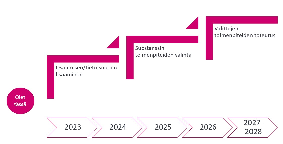 Kestävän kehityksen ohjelman askeleet karkeasti.