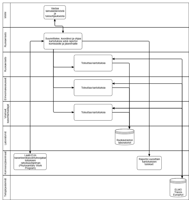 Maa- ja metsätalousministeriö valmistelevat lainsäädäntö ja tulosohjaavat viranomaisia. Ruokaviraston kasvinterveysyksikkö suunnittelee, koordinoi, ohjaa valvontaa ja tarkastuksia, toteuttaa karanteenikasvintuhoojien kartoitusvalvontaa ja ottaa tarvittaessa kartoitusnäytteitänäytteitä sekä raportoi Komissiolle ja jäsenmaille valvonnan tuloksista. ELY-keskukset toteuttaa Ruokaviraston kasvinterveysyksikön laatiman valvontasuunnitelman mukaisesti karanteenikasvintuhoojien kartoitusvalvontaa ja ottaa tarvittaessa kartoitusnäytteitä. Valtuutetut tarkastajat toteuttavat toimeksiannon perusteella karanteenikasvintuhoojien kartoitustarkastuksia ja ottavat tarvittaessa kartoitusnäytteitä. Ruokaviraston laboratorio hoitaa näyteanalyysien teon ja tallentaa näytetiedot ELMO-valvontatietokantaan. 