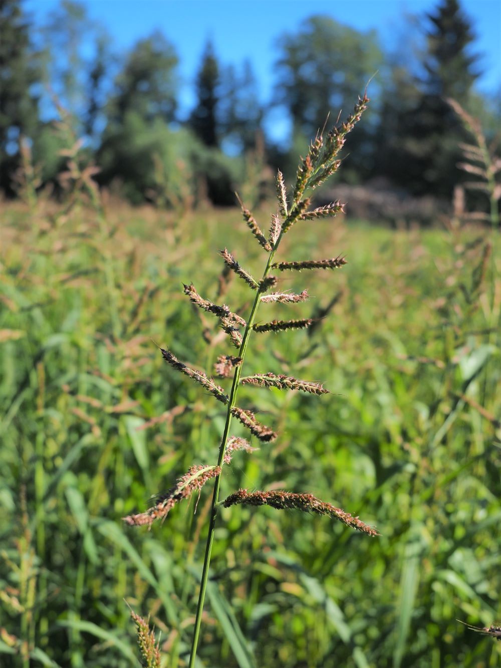 1_aloituskuva pieni koko.jpg