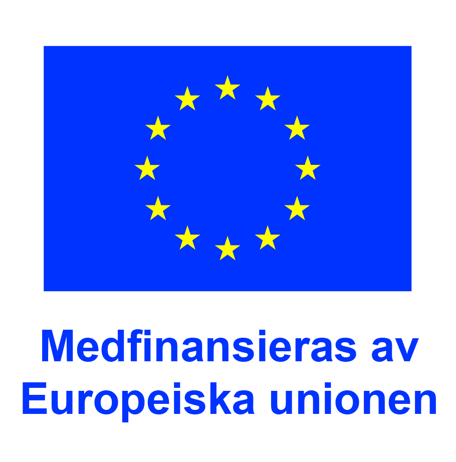 SV V Medfinansieras av Europeiska unionen_POS.jpg