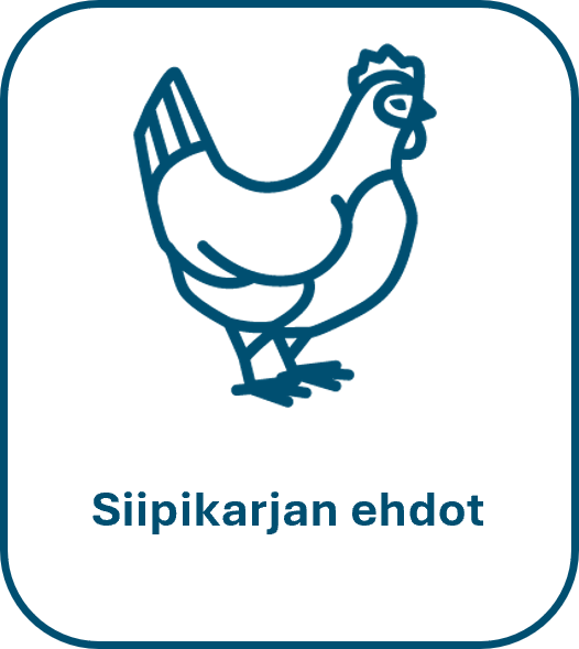 Kana kuvake ja teksti Siipikarjan ehdot