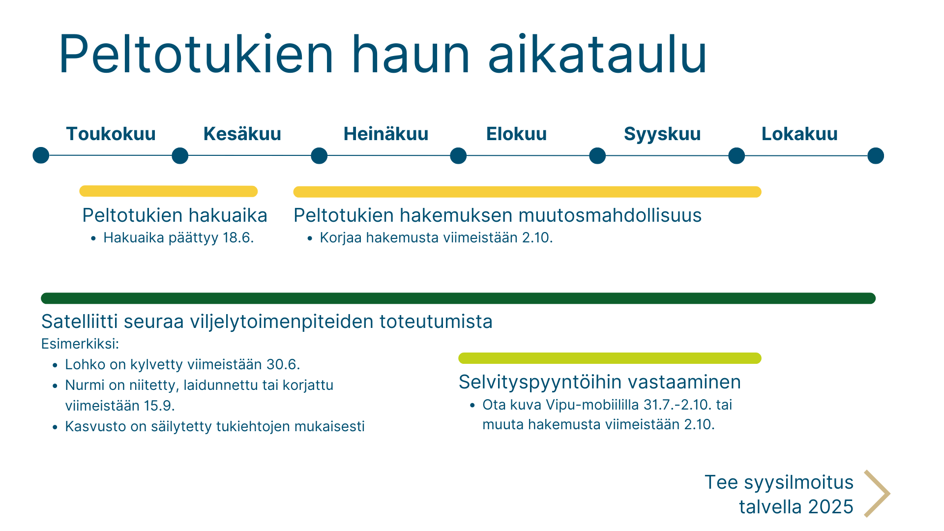 Tekstivastine kuvan alla