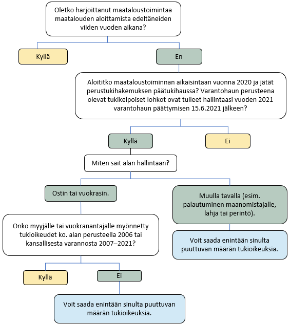 Kaaviossa on esitetty tekstissä kerrotut asiat kuvana.