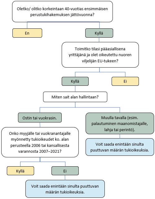 Kaaviossa on esitetty tekstissä kerrotut asiat kuvana.