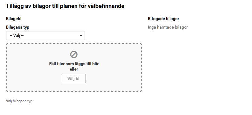 Skärmdump av Viputjänsten, Tillägg av bilagor till planen för välbefinnande