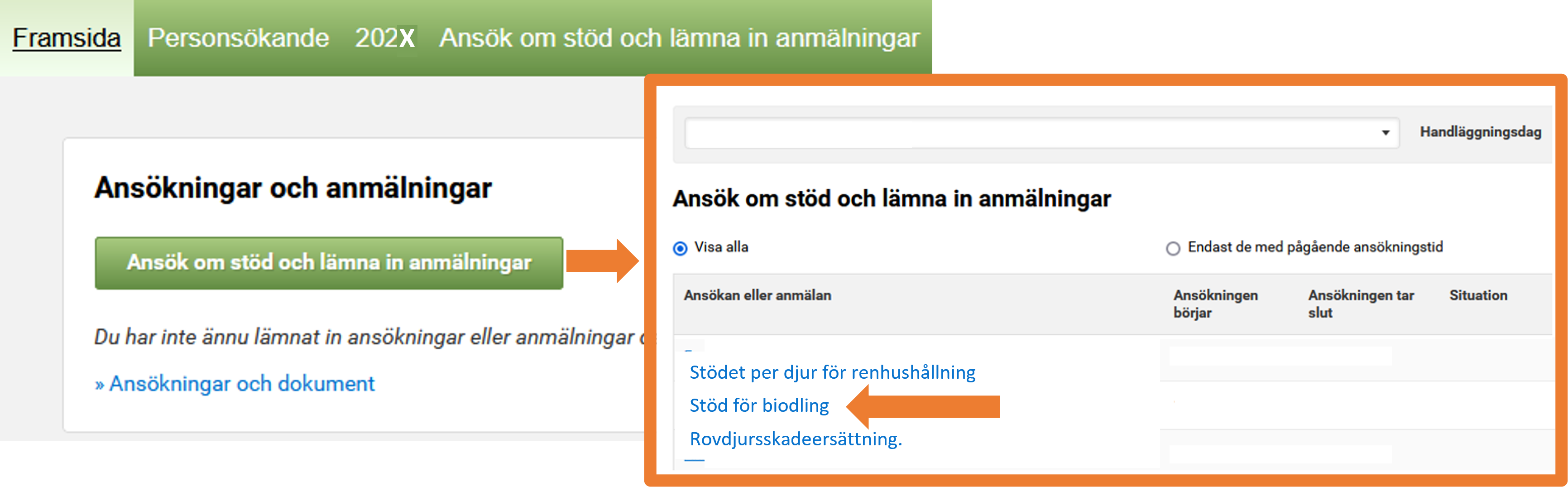 Skärmdump från Viputjänsten Ansök om stöd och lämna in anmälningar