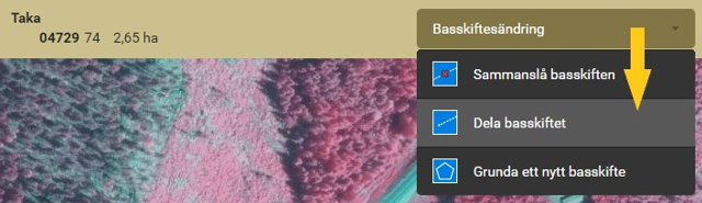 Skärmdump från Viputjänsten: Välj verktyget Dela basskiftet under menyn för Basskiftesändring.
