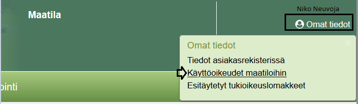 Kuvakaappaus Vipu-palvelusta, omat tiedot osiosta