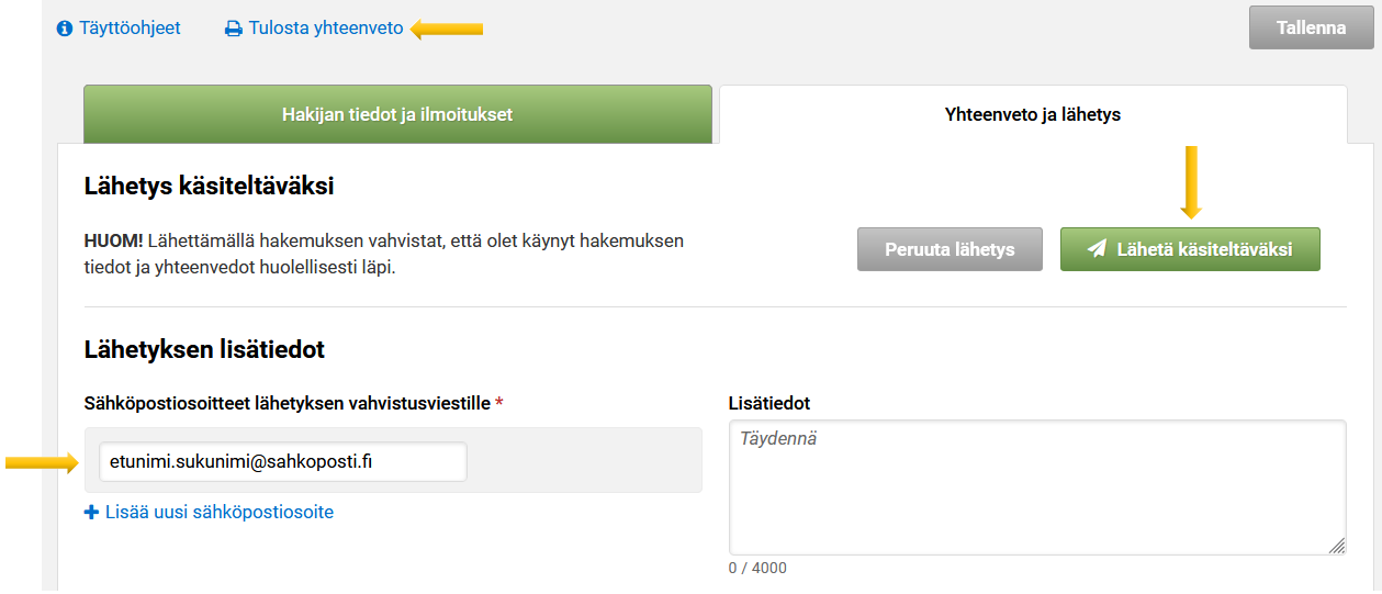 Kuvakaappaus Vipu-palvelun Lähetys käsiteltäväksi -kohdaksi.