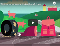 Infovideon etusivu luonnossa liikkujille afrikkalaisesta sikarutosta.