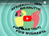 Video tuottajille sikalan tautisuojauksesta.