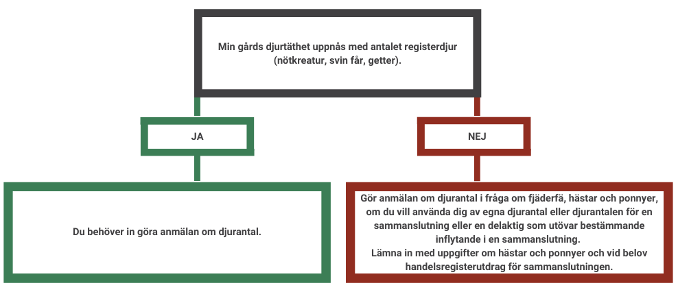 Text: Min gårds djurtäthet uppnås med antalet registerdjur (nötkreatur, svin får, getter). Ja: Du behöver inte göra anmälan om djurantal. Nej:  Gör anmälan om djurantal i fråga om fjäderfä, hästar och ponnyer, om du vill använda dig av egna djurantal eller djurantalen för en sammanslutning eller en delaktig som utövar bestämmande inflytande i en sammanslutning.  Lämna in med uppgifter om hästar och ponnyer och vid belov handelsregisterutdrag för sammanslutningen.