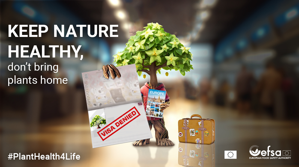 EFSAn banneri, jossa teksti Keep Nature Healthy, don´t bring plants home. Kuvassa entti, jonka vieressä matkalaukku. Entti pitelee kädessä passia, jossa lukee VISA DENIED. PlantHealth4Life-kamppanja.