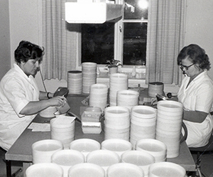 Viljan idätyksessä oli 1960-luvulla luovuttu saviruukuista ja siirrytty muoviin.
