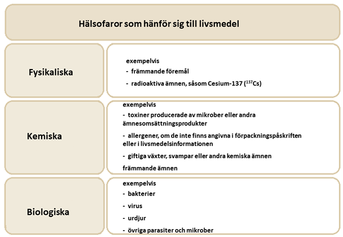 Exempel på fysikaliska, kemiska och biologiska hälsofaror som hänför sig till livsmedel.