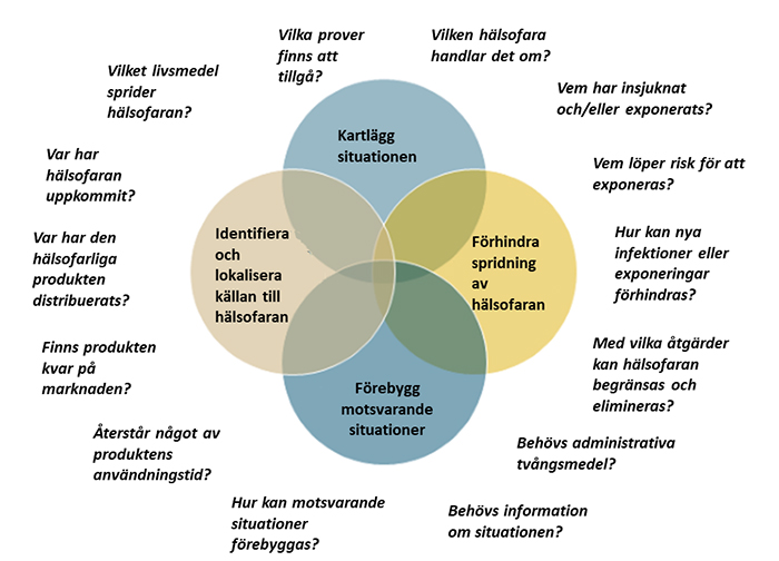 Den kommunala tillsynsmyndighetens uppgifter uppdelad i fyra sektioner: kartlägg situationen, identifiera och lokalisera källan till hälsofaran, förhindra spridning av hälsofaran och förebygg motsvarande situationer.