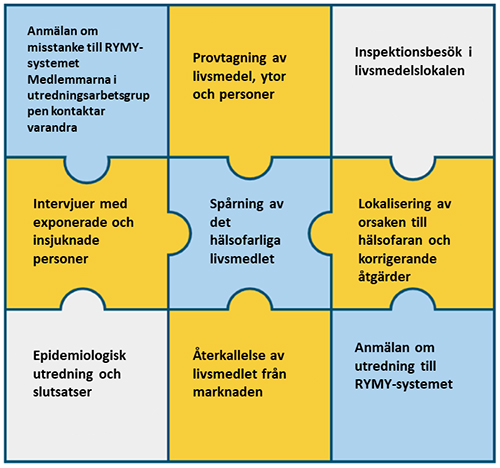 Delområden i en epidemiutredning presenteras som pusselbitar.